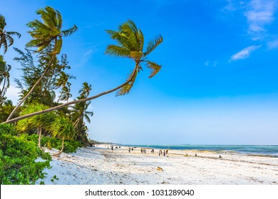 Matemwe Beach, Zanzibar. Tanzania.