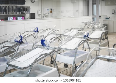 Maternity Room In Hospital And Empty Cribs Of Children Lined Up