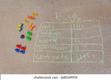 Math Tally Graph About Bugs Made With Sidewalk Chalk