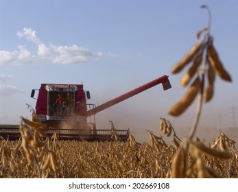 MATO GROSSO, BRAZIL - MAY 20, 2005: Soybean Harvesting In Brazil