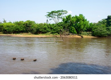 Mato Grosso do Sul, Brazil - September 18, 2021 - River banks of the River Dourado, in the city of Dourados, Mato Grosso do Sul, Brazil