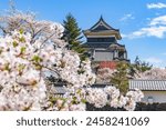 Matsumoto-jo (Matsumoto Castle) with sakura cherry blossoms in Nagano Prefecture, National Treasure of Japan