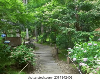 円通院 バラ園
 Matsushima Entsuin rose garden park and caves Miyagi prefecture Japan