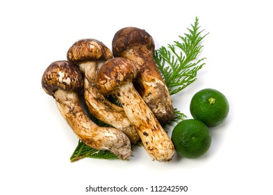 Matsutake Mushroom