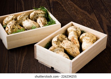 Matsutake Mushroom