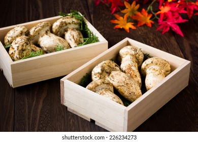 Matsutake Mushroom