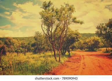 Matte background of beautiful African red dirt road in a bush. Wonderful landscape. Dirt road in rural area. African nature. 