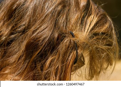 The Matted Hair Of A Blond Girl Is Tangled In A Pony Tail Holder.  She Is In The Sun And Her Hair Looks A Bit Reddish Yellow, But Is Slightly Green From Swimming In Chlorine Water Over Summer.