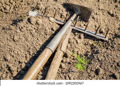 Mattock And Rake On Soil