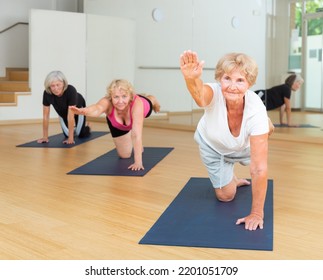 Mature Active Women Who Attend Group Classes In A Fitness Studio Perform A Stretching Exercise