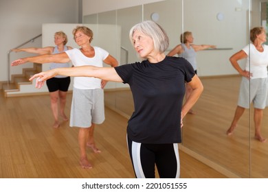 Mature Active Women Who Are Engaged In The Dance Section At A Group Class, Perform Ballet Exercises In The Studio