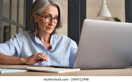 Mature adult 60s aged woman working at laptop watching video conference webinar training, virtual meeting. Business lady e learning online computer classes, typing, seniors and remote education. - Shutterstock ID 1954711948
