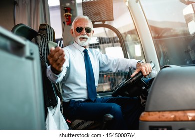 Mature beard bus driver sitting in bus.