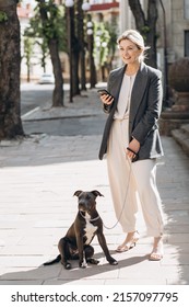 Mature Blond Business Woman In A Gray Jacket Smiling Walking Her Dog Breed Amstaff And Talking On The Phone