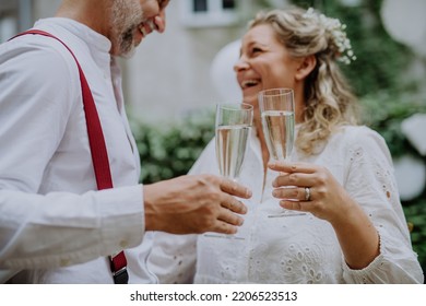 Mature bride and groom toasting at wedding reception outside in the backyard. - Powered by Shutterstock