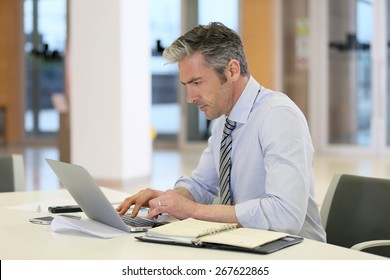 Mature Businessman Working On Laptop