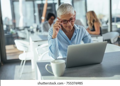 Mature businesswoman working on her computer