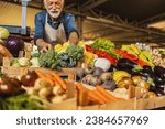 A mature Caucasian vegetable owner arranging vegetables at his stall getting ready for the day.