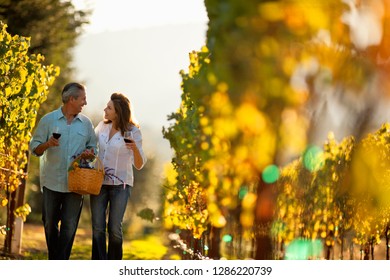 Mature Couple Enjoy Romantic Walk Through Vineyard While Tasting Wine.