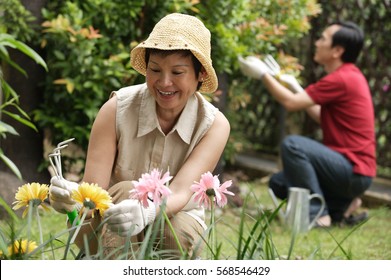 Mature Couple Gardening