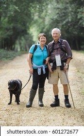 A Mature Couple Hiking With Their Dog