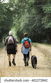A Mature Couple Hiking With Their Dog