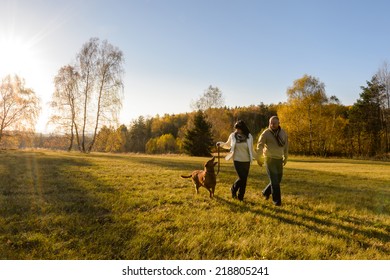 Mature couple holding hands walk retriever dog autumn sunset countryside meadow - Powered by Shutterstock