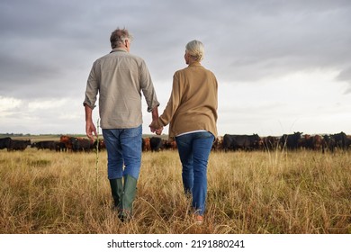 Mature Couple Holding Hands And Walking On A Cattle Farm, Bonding And Having A Stress Free Day Together. Senior Farmers Enjoying Outdoors, Being Active And Loving On Romantic Walk At Sunset