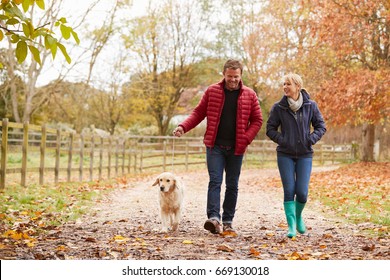 Mature Couple On Autumn Walk With Labrador