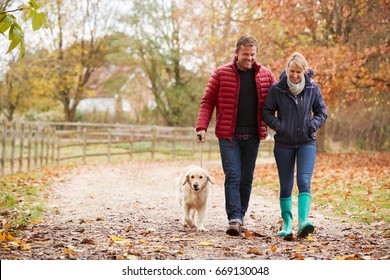 Mature Couple On Autumn Walk With Labrador