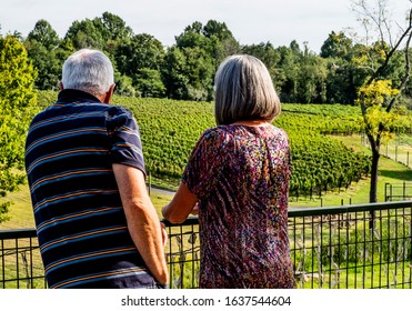 Mature Couple Overlooking Virginia Vineyard In The Fall