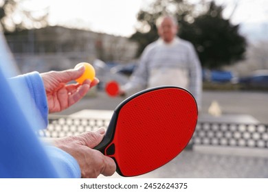 Mature couple playing table tennis in the garden.  - Powered by Shutterstock