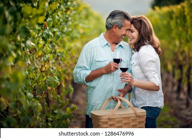 Mature Couple Sharing An Intimate Moment While Drinking Red Wine In Vineyard.