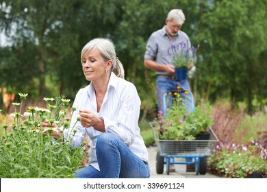 Mature Couple Shopping At Garden Centre - Powered by Shutterstock