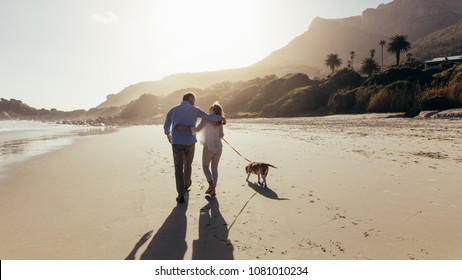 Mature couple strolling along the beach with their dog. Rear view shot of loving mature couple on the beach with dog. - Shutterstock ID 1081010234
