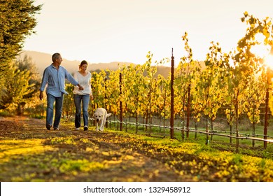 Mature couple walking hand in hand through vineyard.