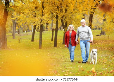 Mature Couple Walking Their Dog In Park