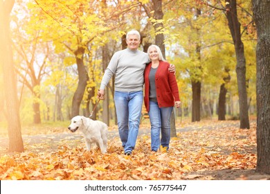 Mature Couple Walking Their Dog In Park