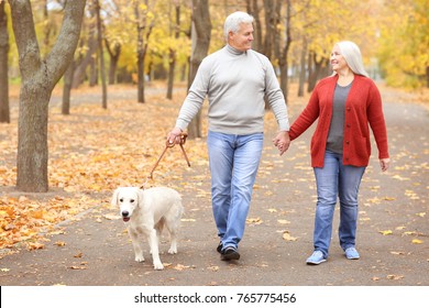 Mature Couple Walking Their Dog In Park