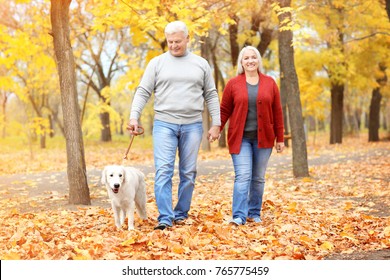 Mature Couple Walking Their Dog In Park