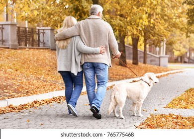 Mature Couple Walking Their Dog In Park