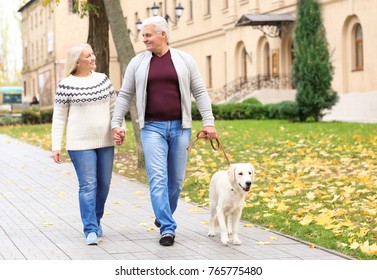 Mature Couple Walking Their Dog In Park