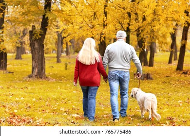 Mature Couple Walking Their Dog In Park