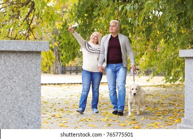 Mature Couple Walking Their Dog In Park