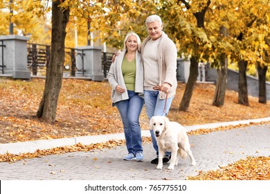 Mature Couple Walking Their Dog In Park