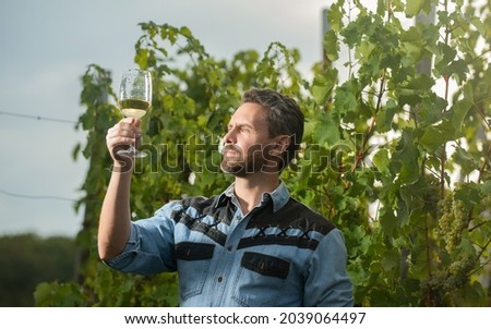 mature enologist man looking at wine glass at winery outdoor, sommelier Foto stock © 