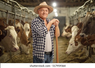 Mature farmer posing in a cowshed - Shutterstock ID 517959364