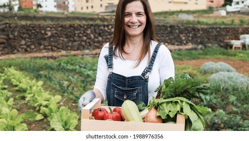 Mature Farmer Woman Holding Wood Box With Fresh Organic Vegetables - Soft Focus On Face