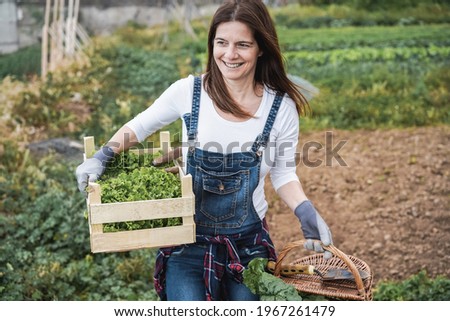 Similar – Image, Stock Photo herb box Food