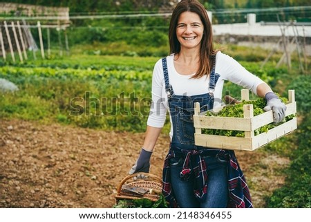 Similar – Image, Stock Photo herb box Food